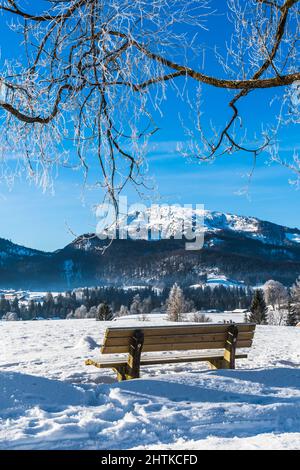 Bank in einer verschneiten Landschaft an einem sonnigen Wintermorgen Stockfoto