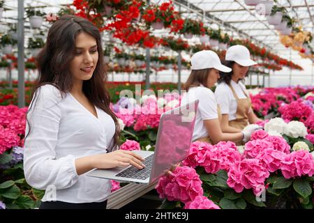 Seitenansicht von zwei Arbeiterinnen in beigefarbener Schürze, die sich um schöne rosa Blumen kümmern, und einer attraktiven jungen Brünette, die in einem Laptop arbeitet. Konzept der Vorbereitung für den Verkauf niedlichen Blumen. Stockfoto