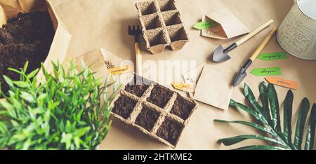 Pflanzen von Gemüse im heimischen Garten. Gartenarbeit, Hobbys und landwirtschaftliche Leben während der Sperre. Das Konzept der ökologischen und pflanzlichen Ökonomie Stockfoto