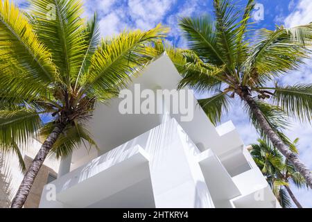 Abstrakter architektonischer Hintergrund mit weißem Betonhaus außen Fragment und Palmen unter blau bewölktem Himmel Stockfoto