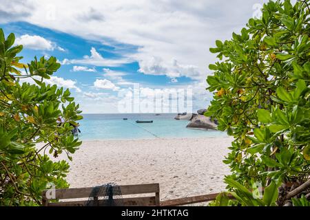 Blick auf das tropische Meer mit grünen Blattpflanzen am Strand der Similan Inseln an sonnigen Tagen Stockfoto