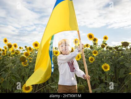 Junge in besticktem Hemd mit gelb-blau große Flagge in der Hand im Feld der Sonnenblumen. Stolz, Symbol des Landes, Nationalität der Ukraine. Betet für Ukrain Stockfoto