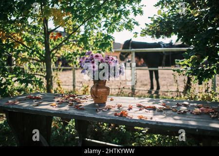 Schöne Blumen in einer Vase im Garten mit einem starken Sonnenlicht und einem Pferd auf einem Hintergrund Stockfoto