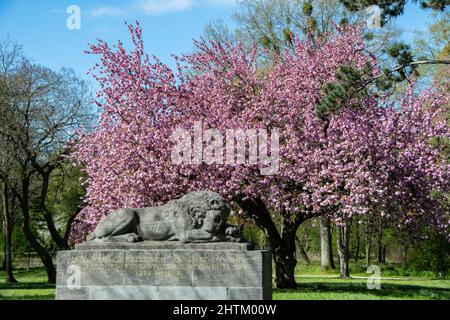 Bad Honnef, Deutschland 25. April 2021, das Löwendenkmal in der Stadt Bad Honnef Stockfoto