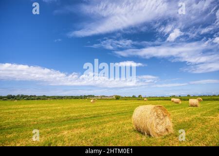 Landwirtschaftliches Feld mit geerntetem Heu und im Sommer Stapeln. Haystacks Stockfoto