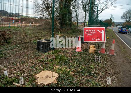 Wendover, Buckinghamshire, Großbritannien. 28.. Februar 2022. In jüngerer Zeit fällten Bäume bis HS2 neben ihrem Gelände am A413 am Stadtrand von Wendover. Quelle: Maureen McLean/Alamy Stockfoto