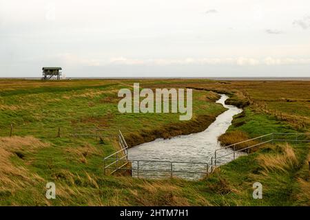 Landentwässerung Ausfall von Salzmarsch in Friskney, Lincolnshire, England Stockfoto