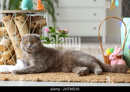 Süße schottische Falte Katze in Hasenohren mit Ostereiern und Kaninchen zu Hause Stockfoto