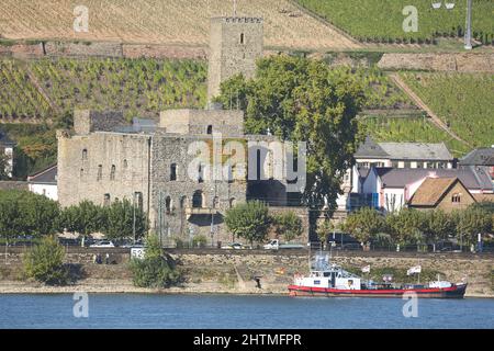 Blick auf Brömserburg, in Rüdesheim mit Rhein, Hessen, Deutschland Stockfoto