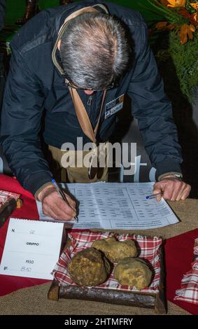 Montechiaro d'Asti, Italien - 8. November 2009: Nationale Messe für weiße Trüffel: Die Richter verleihen den besten Trüffeln einen Preis. Stockfoto