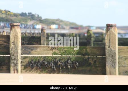 Frinton am Sea Beach Stockfoto