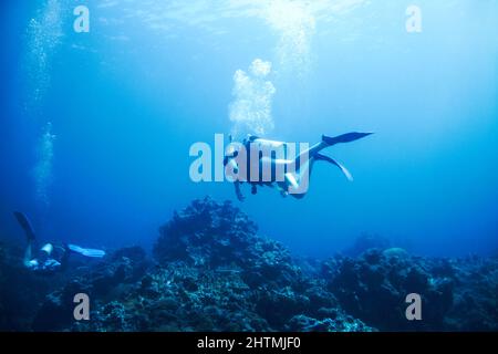 Die Ozeane erkunden endlose Wunder. Zwei Taucher erkunden ein felsiges Riff - Copyspace. Stockfoto