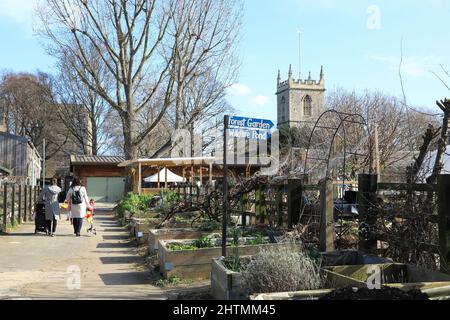 Wintersonne auf der Stepney City Farm, mit der St. Dunstan & All Saints Church im Osten Londons, Großbritannien Stockfoto