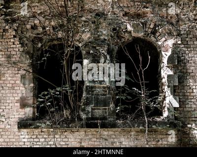 Alte Festungen der Maginot-Verteidigungslinie bei Straßburg. Befestigungsanlagen zerstört und mit Wald überwuchert. Frankreich Stockfoto