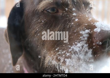 Minnesota Schnee Stockfoto