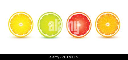 Zitrusfrüchte Scheiben realistische Nahaufnahme mit Zitronenlime Grapefruit orange Schatten Reflexion auf weißem Vektor-Illustration gesetzt Stock Vektor