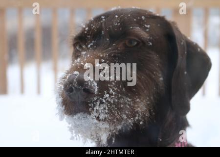 Minnesota Schnee Stockfoto