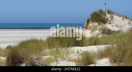 Dunes de La baies de Somme à proximité du sentier d'accès à la mer de Saint Quentin en Tourmont et du Parc du Marquenterre. Stockfoto