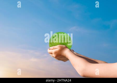 Kinderhände halten grünen Erdkugel über verschwommenem Sonnenuntergang Himmel Hintergrund. Konzept des Weltumwelttages Stockfoto