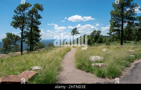 Gepflasterter Wanderweg durch das Gras und spärliche Bäume hoch mit Bergen in der Ferne. Stockfoto