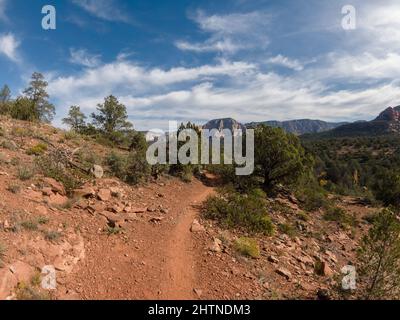 Felsiger Wanderweg durch die Wüste mit Bergen in der Ferne. Stockfoto