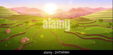 Terrassenförmige Reisfelder bei Sonnenaufgang, sonniges chinesisches Ackerland am Morgen in der Berglandschaft. Asiatische Kaskadenplantage, Landschaft Landwirtschaft Wiese mit Pflanzen in China oder Vietnam, Cartoon-Vektor-Illustration Stock Vektor