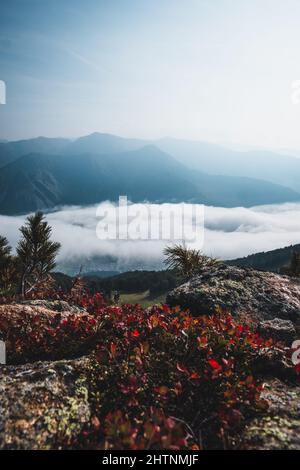 Wunderschöne Aufnahme von Nebel und Wolken über den Dolomiten Stockfoto
