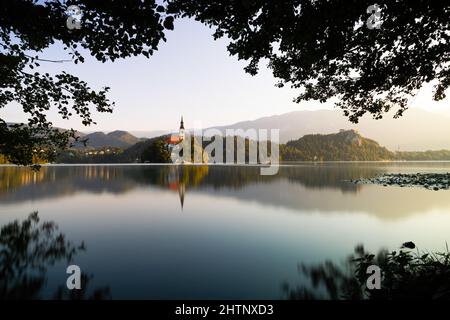 Bleder See mit einer Kirche auf einer Insel bei Sonnenaufgang durch Fenster von Zweigen Stockfoto
