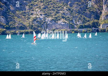 Viele kleine Segelboote segeln auf dem Lago di Garda in Italien Stockfoto