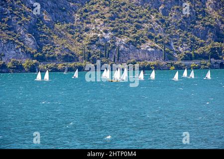 Viele kleine Segelboote segeln auf dem Lago di Garda in Italien Stockfoto