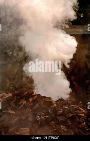 Rauch kommt aus dem Haufen brennender Blätter Stockfoto