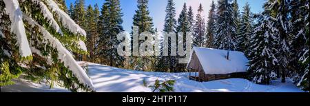 Panorama eines Hauses im Winterwald Stockfoto