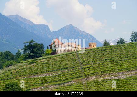 Atemberaubende Aussicht auf die Meraner Region bei den Gärten von Schloss Trauttmansdorff (Südtirol, Italien) Stockfoto