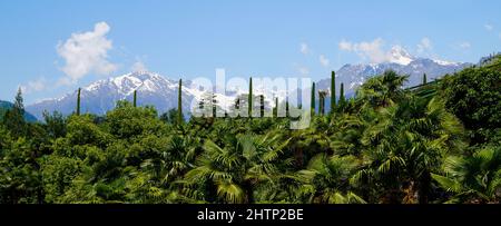 Atemberaubende Meraner Gärten von Schloss Trauttmansdorff (Meran, Südtirol, Italien) Stockfoto