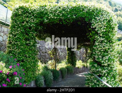 Atemberaubende mediterrane Gärten von Schloss Trauttmansdorff (Italien, Südtirol) Stockfoto