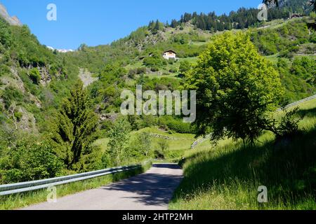 Ein Wanderweg in den atemberaubenden italienischen Alpen der Region Partschins in Südtirol (Italien, Südtirol, Meran) Stockfoto