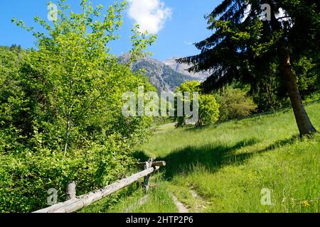 Atemberaubender Partschinser Wasserfall in den italienischen Alpen der Region Partschins in Südtirol (Italien, Südtirol, Meran) Stockfoto