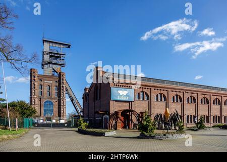 Malakoff Turm über Schacht 2 der Prosper Haniel-Kolonie in Bottrop Stockfoto