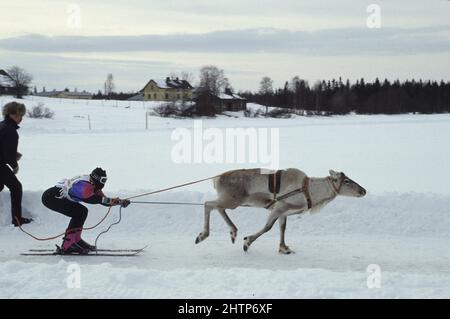 Lappland Marche Traditionnel handwerklicher Lapon Stockfoto