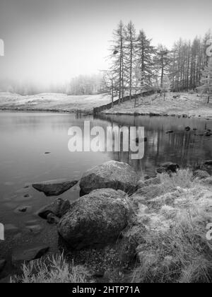 Infrarotbild des Ufers von Blea Tarn im Lake District National Park, Cumbria, England. Stockfoto