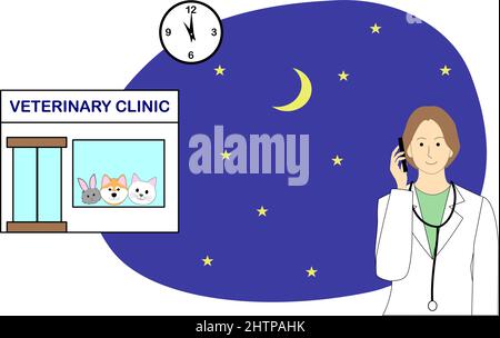 Nachtszene der Tierarztklinik mit einer gestromten Katze im elisabethanischen Halsband, einem Pudel und einem Kaninchen Stock Vektor