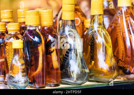 Flaschen mit Schlangen und Skorpionen im Straßenladen. Stockfoto