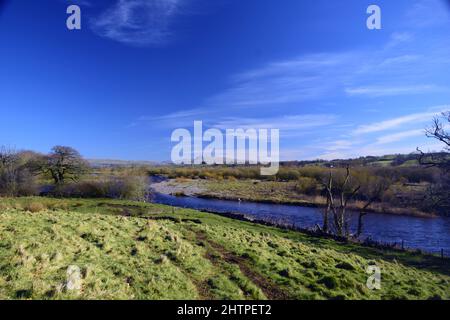 Erster Frühlingstag 1. März 2022 und ein Spaziergang entlang des Flusses Lune North Lancashire in Frühlingssonne gebadet. Stockfoto