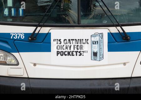 Eine witzige, witzige, respektlos erscheinende Oatly Hafermilch-Anzeige auf der Vorderseite eines New York City-Busses in Queens New York City. Stockfoto