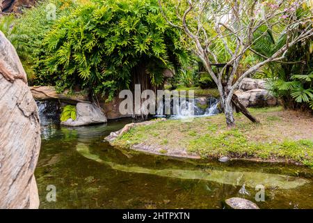 Kleiner Bach, der durch einen Park führt und einen wunderschönen Wasserfall bildet. Stockfoto