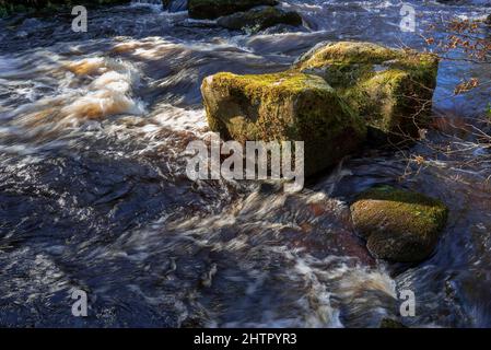 Rauschende Gewässer und moosbedeckte Felsen im Hebden Beck. West Yorkshire. Stockfoto