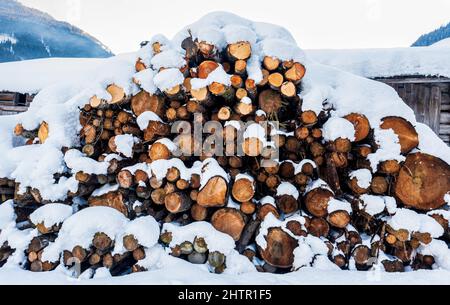 Gestapelte Stämme Baumstämme mit Schnee bedeckt für Holzbau und Industrie Lagerung über den Winter draußen Stockfoto