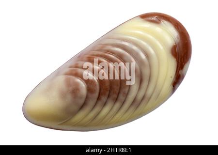 Guylian Belgian Chocolates Muschelschalen Schokolade Muschelschalen isoliert auf weißem Hintergrund - feinste belgische Schokolade mit Haselnuss-Praline-Füllung Stockfoto