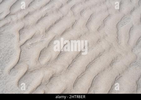 Sandformation durch den Wind auf St. Peter Ording gebildet Stockfoto