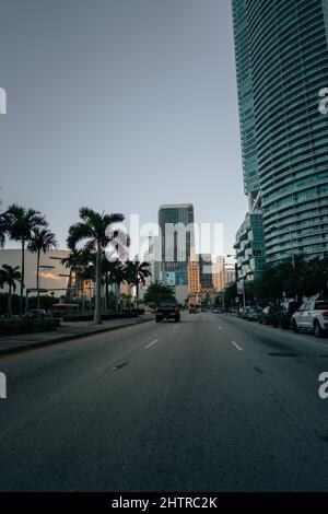 Wunderschöne Aussicht auf eine Straße mit Palmen in Miami, Florida, USA Stockfoto
